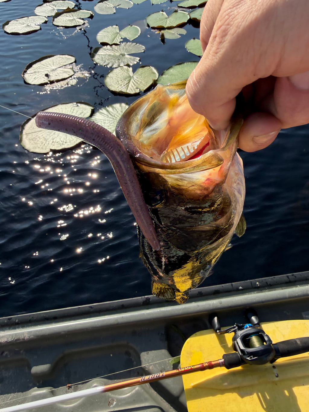 5” stick bait Zombie Blood (8)