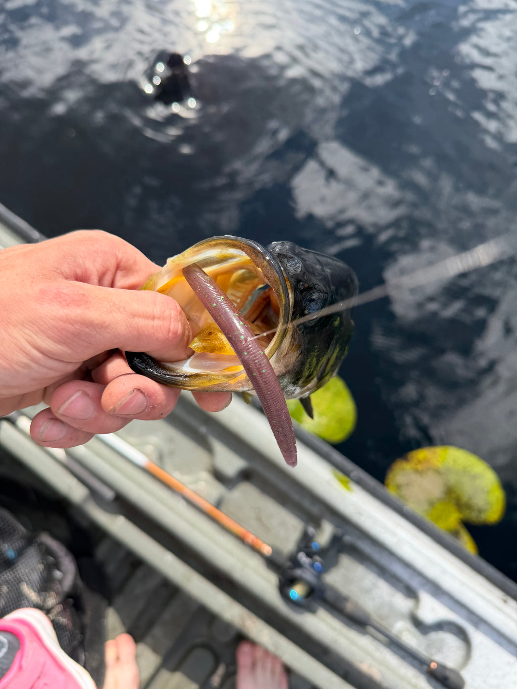 5” stick bait Zombie Blood (8)